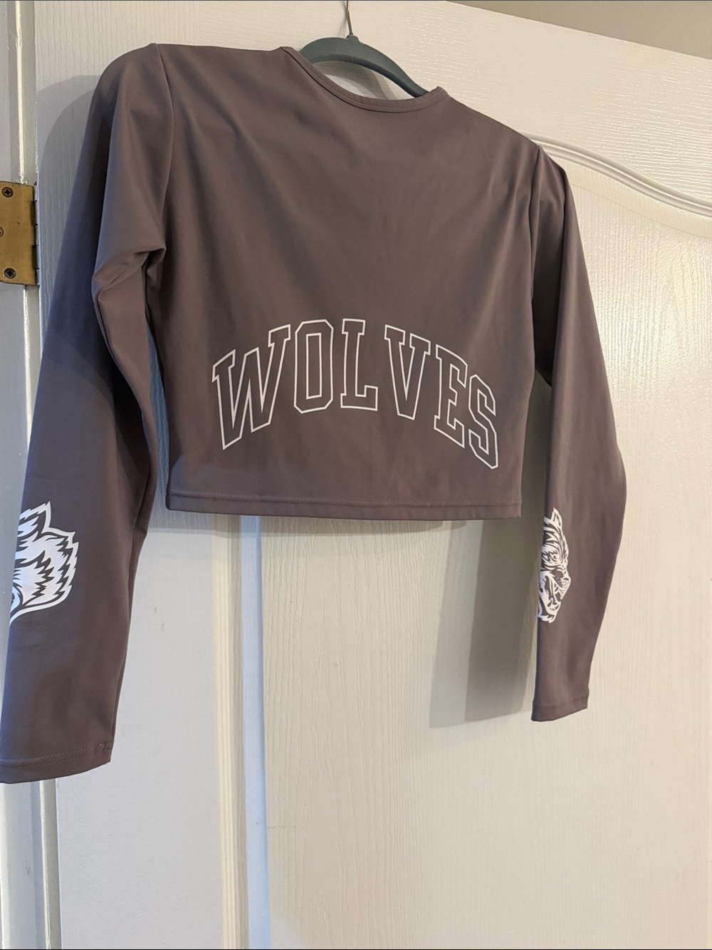 Darc Sport Mauve Long Sleeve Crop Top with White Graphic